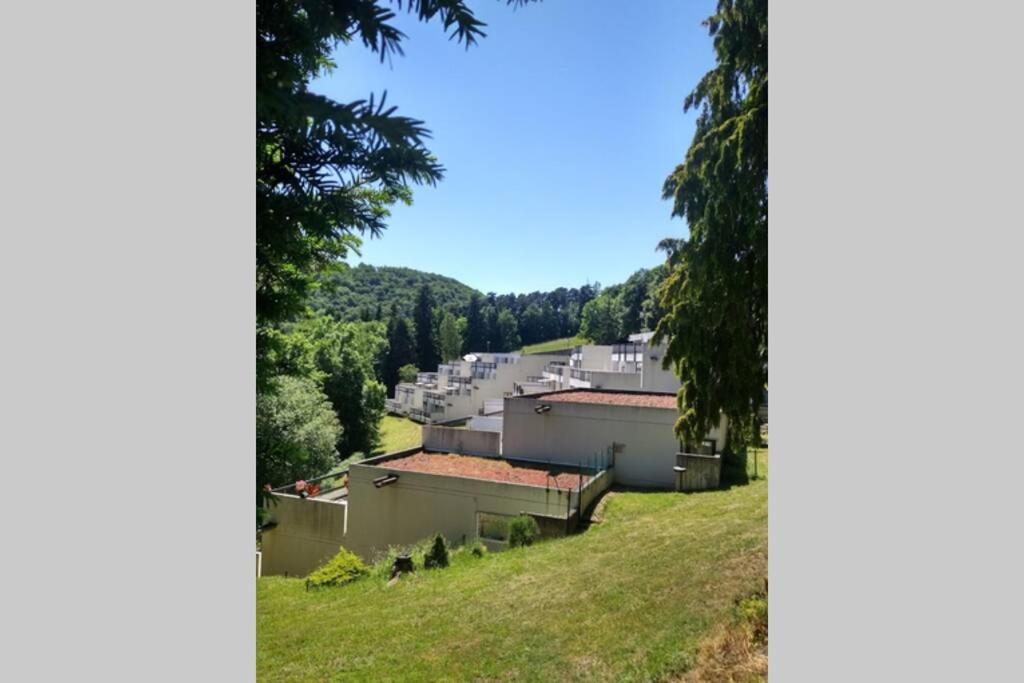 Studio Au Coeur Des Volcans D Auvergne - ミュロル エクステリア 写真