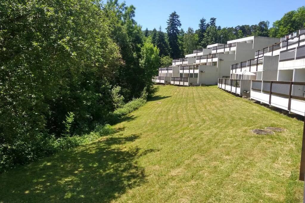 Studio Au Coeur Des Volcans D Auvergne - ミュロル エクステリア 写真