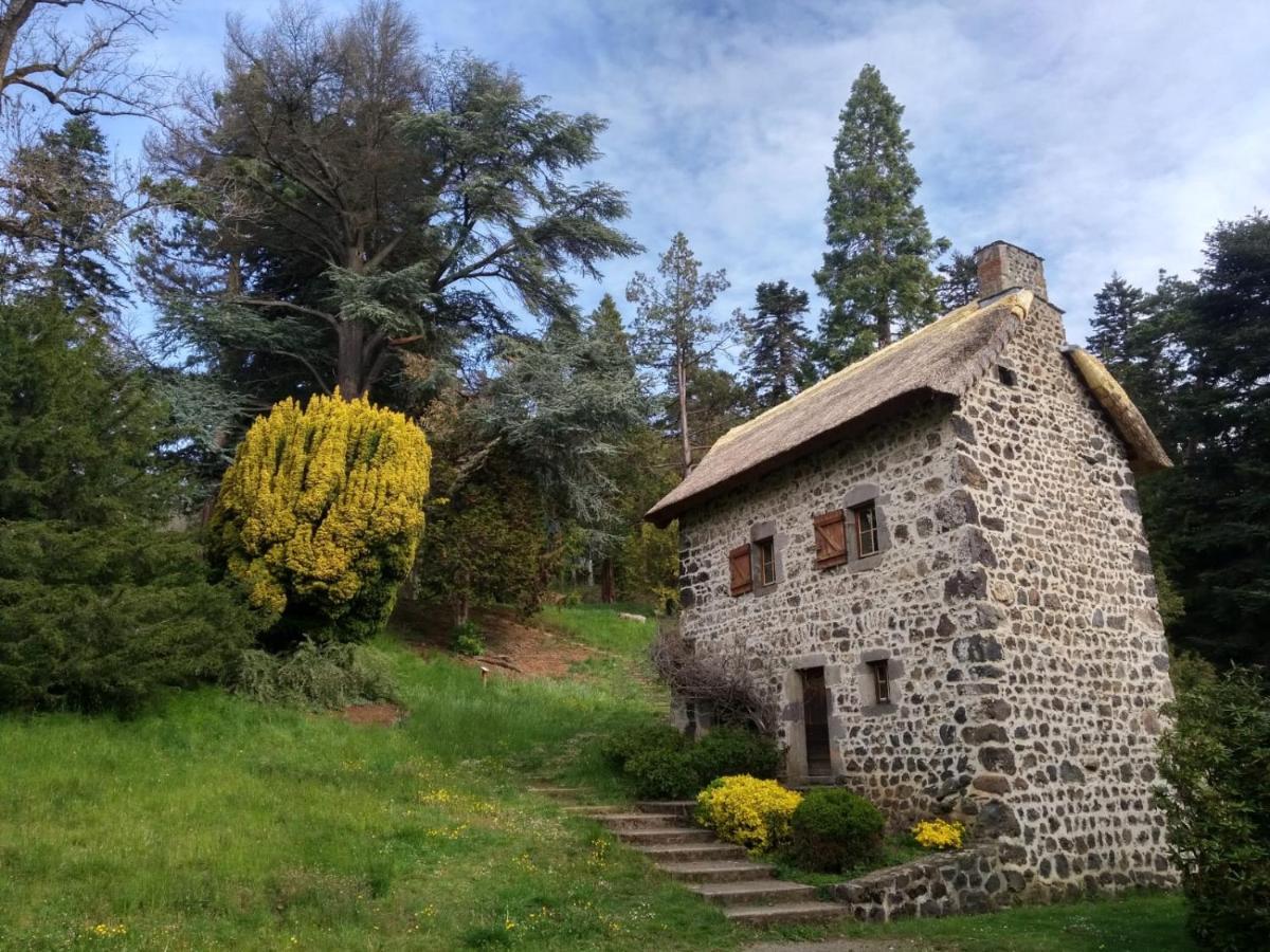 Studio Au Coeur Des Volcans D Auvergne - ミュロル エクステリア 写真